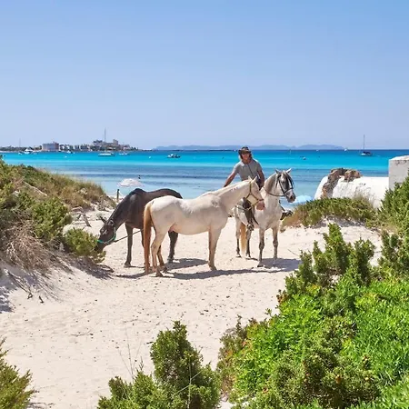 Mallorca Dream