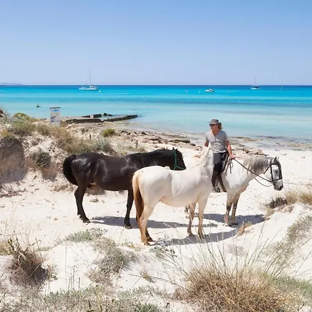 Mallorca Dream * Ses Salines (Mallorca)